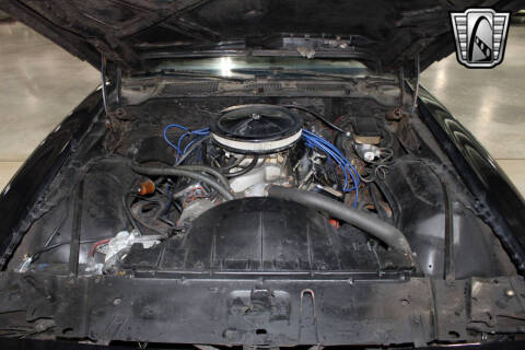 1981 Pontiac Firebird Trans Am