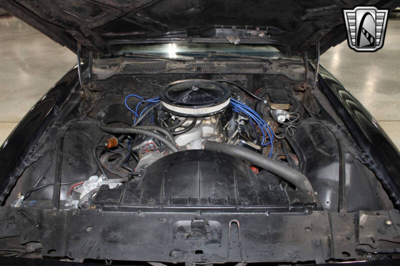 1981 Pontiac Firebird Trans Am