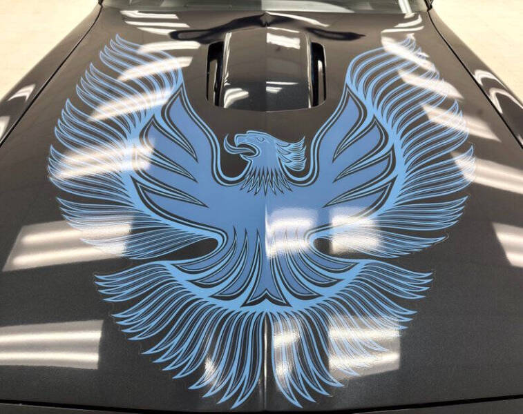 1981 Pontiac Firebird Trans Am