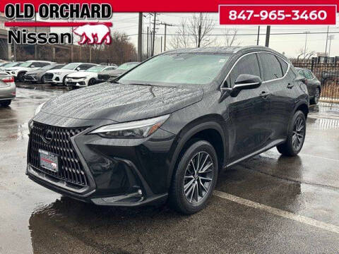 2022 Lexus NX 250 for sale at Old Orchard Nissan in Skokie IL