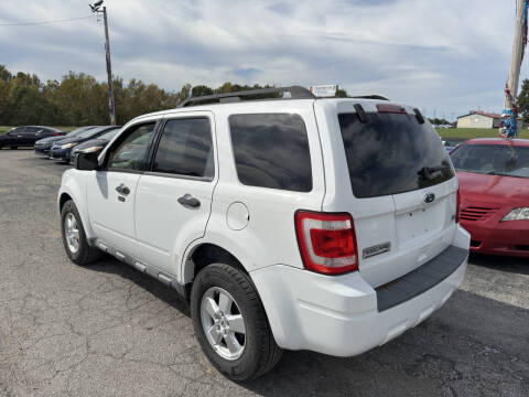 2010 Ford Escape XLT