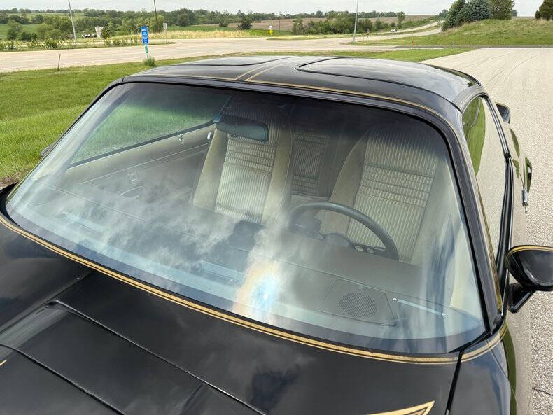 1981 Pontiac Firebird Trans Am