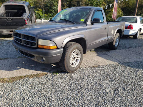 2003 Dodge Dakota for sale at TR MOTORS in Gastonia NC