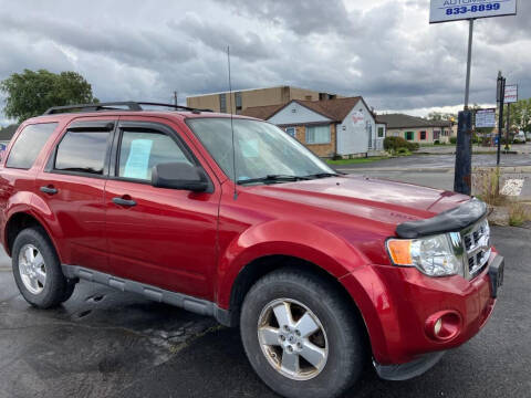 2012 Ford Escape for sale at American & Import Automotive in Cheektowaga NY