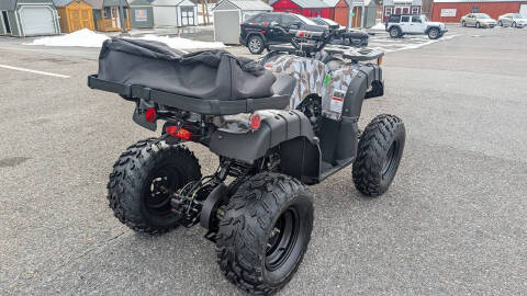 2025 TrailMaster 200 Utility