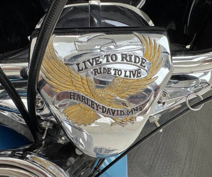 1967 Harley-Davidson FLH