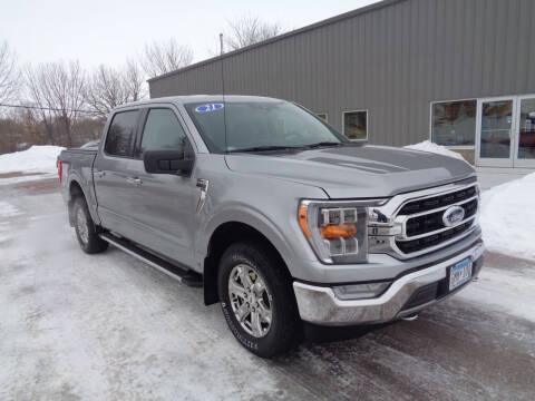 2021 Ford F-150 for sale at Herman Motors in Luverne MN