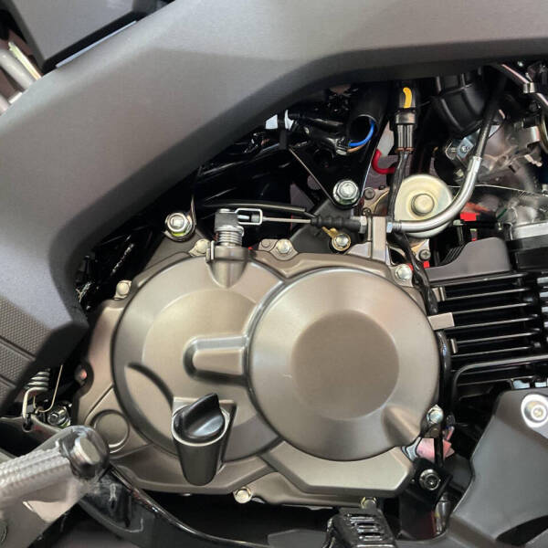 2025 Kawasaki Z125 Pro