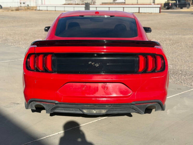 2019 Ford Mustang