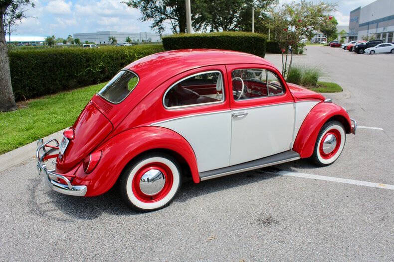 1964 Volkswagen Beetle