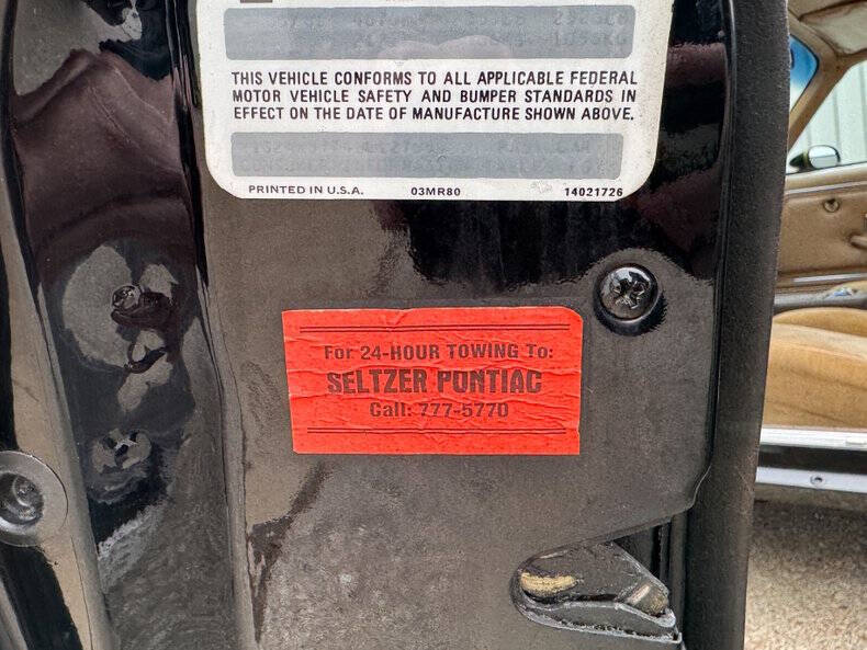 1981 Pontiac Firebird Trans Am