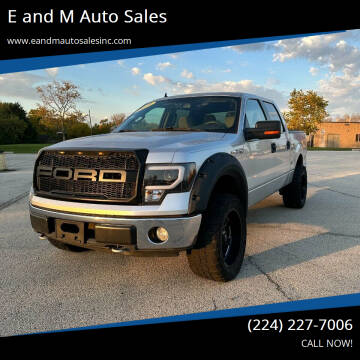 2010 Ford F-150 for sale at E and M Auto Sales in Elgin IL