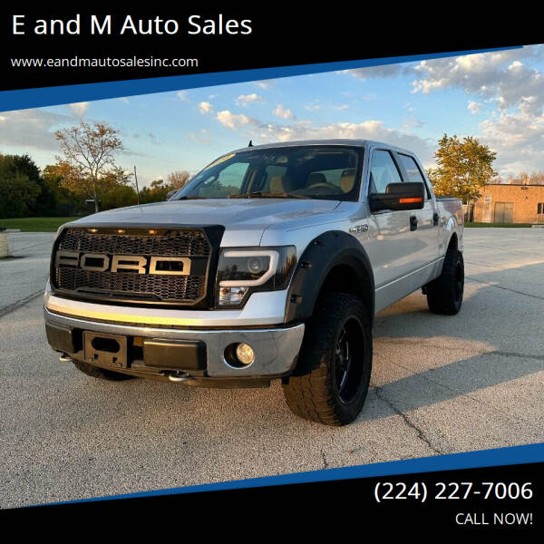 2010 Ford F-150 for sale at E and M Auto Sales in Elgin IL