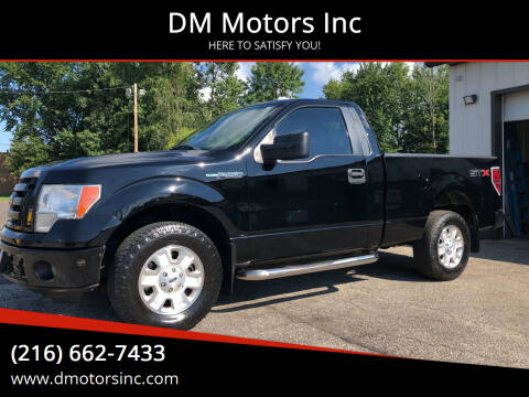 2011 Ford F-150 for sale at DM Motors Inc in Maple Heights OH
