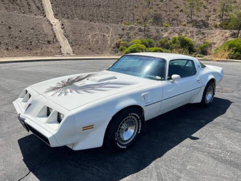 1980 Pontiac Trans Am for sale at Classic Car Deals in Cadillac MI