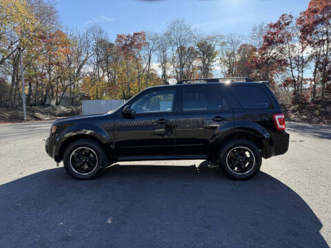 2010 Ford Escape XLT