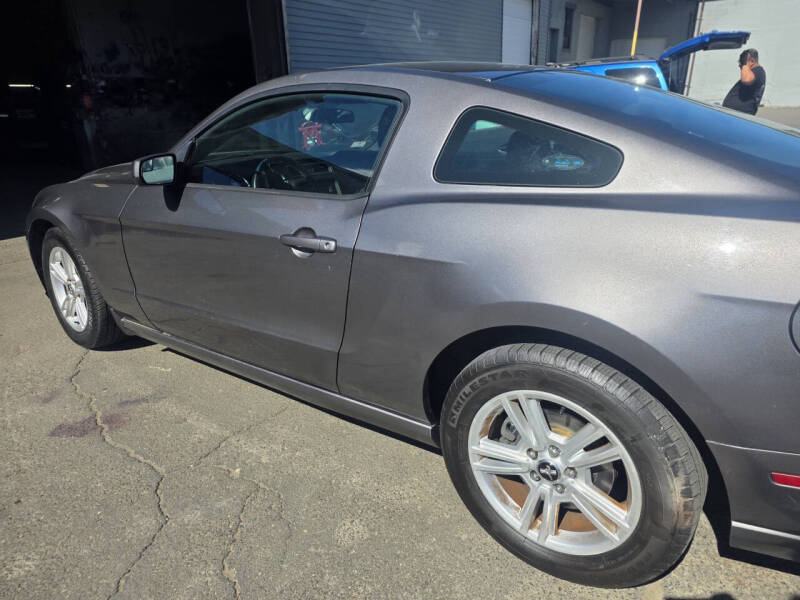 2014 Ford Mustang V6