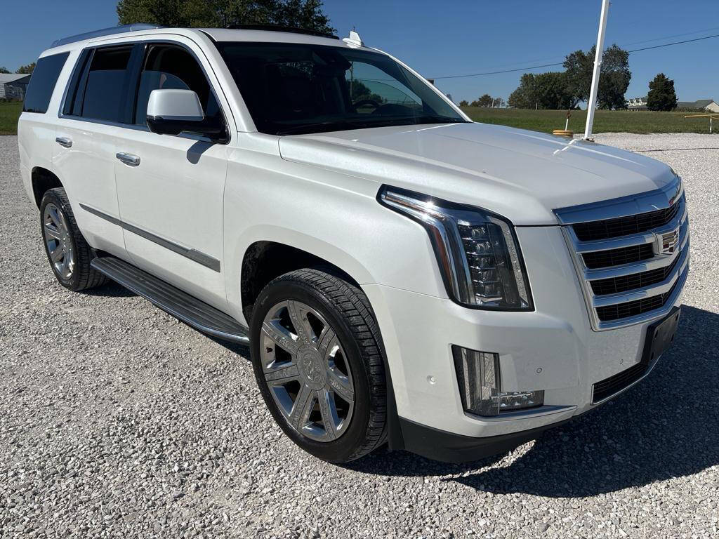 2017 Cadillac Escalade for sale at Springer Auto Sales in Waterloo, IL