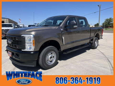 2023 Ford F-250 Super Duty for sale at Whiteface Ford in Hereford TX