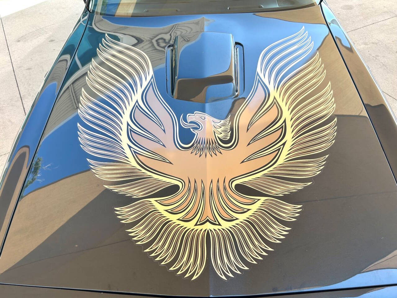 1981 Pontiac Firebird 21