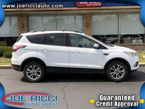 2017 Ford Escape for sale at JOE RICCI AUTOMOTIVE in Clinton Township MI