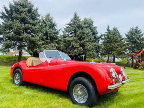 1952 Jaguar XK120
