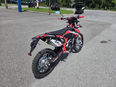 2024 TrailMaster TM 38EX-300