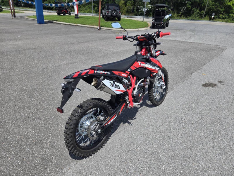 2024 TrailMaster TM 38EX-300