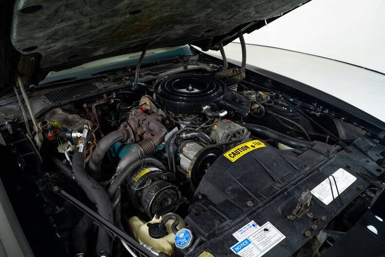 1981 Pontiac Trans Am