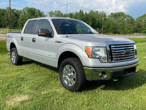 2012 Ford F-150 for sale at Sunshine Auto Sales in Menasha WI