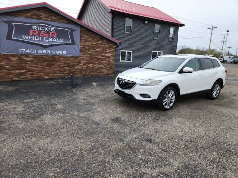 2013 Mazda CX-9 for sale at Rick's R & R Wholesale, LLC in Lancaster OH