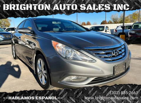 2013 Hyundai Sonata for sale at BRIGHTON AUTO SALES INC in Brighton CO