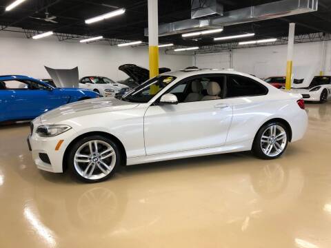 2015 BMW 2 Series for sale at Fox Valley Motorworks in Lake In The Hills IL