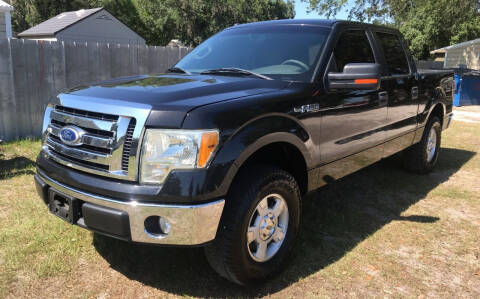 2010 Ford F-150 for sale at MISSION AUTOMOTIVE ENTERPRISES in Plant City FL