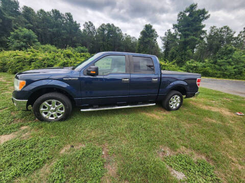 2013 Ford F-150 for sale at Sandhills Motor Sports LLC in Laurinburg NC