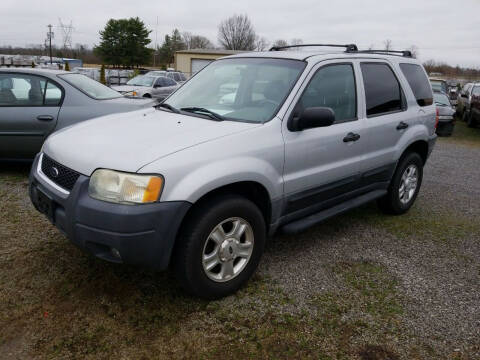 2003 Ford Escape for sale at CAR-MART AUTO SALES in Maryville TN
