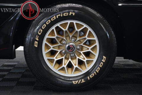 1981 Pontiac Firebird Trans Am