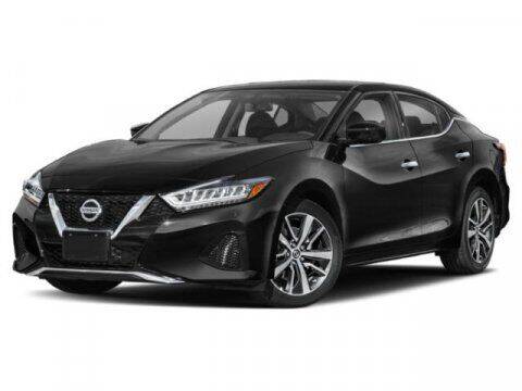 2019 Nissan Maxima for sale at Auto Finance of Raleigh in Raleigh NC