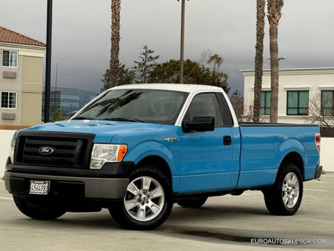 2011 Ford F-150 for sale at Euro Auto Sale in Santa Clara CA