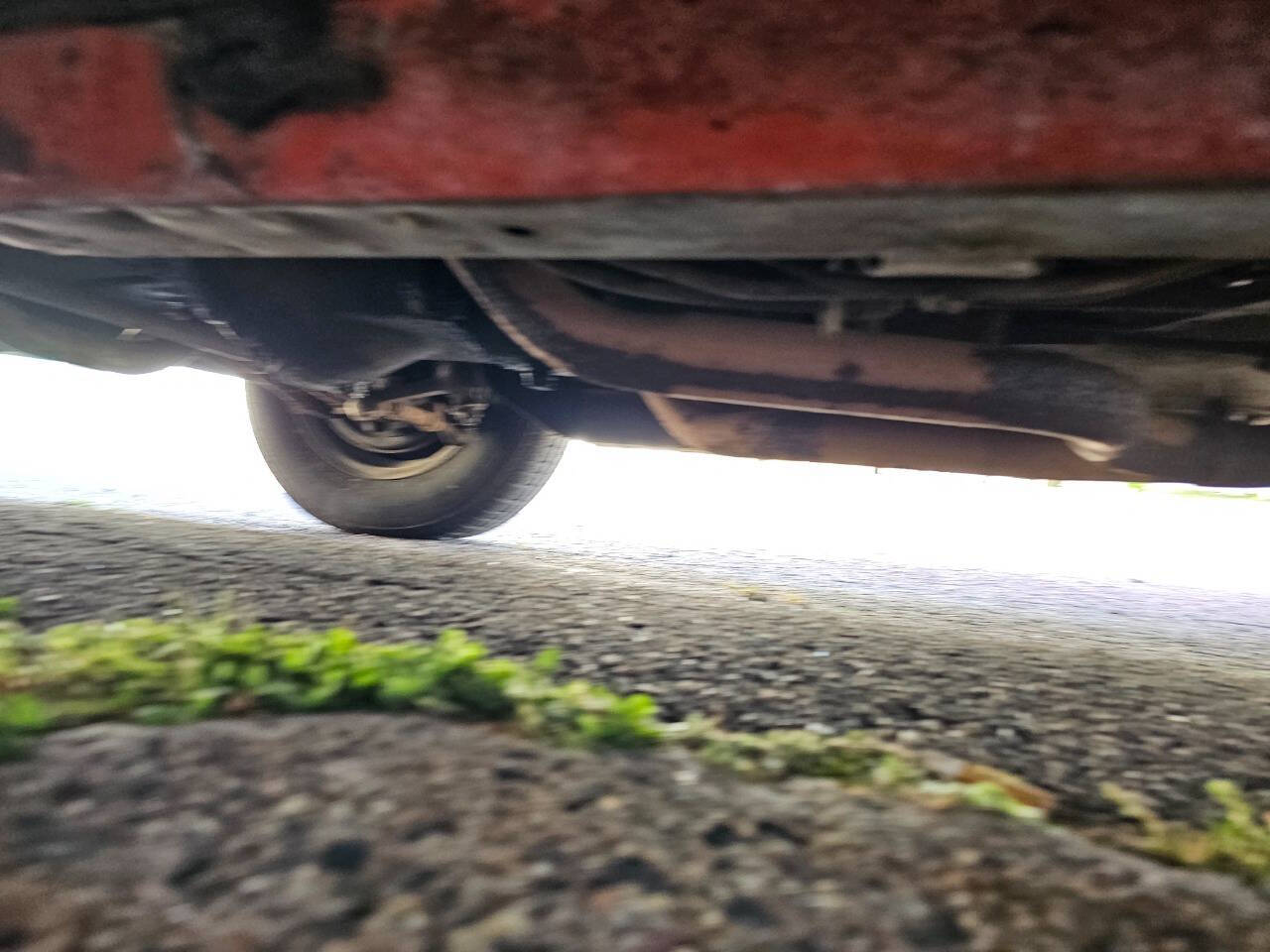 1964 Ford Mustang 241