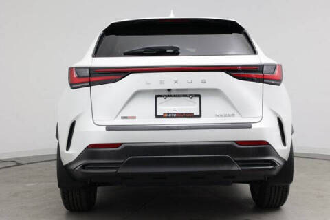 2024 Lexus NX 250