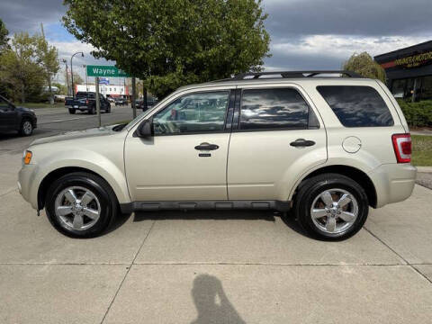 2011 Ford Escape XLT
