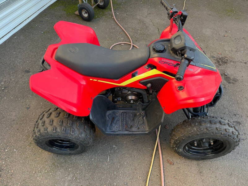 2023 CFMoto CForce EV110