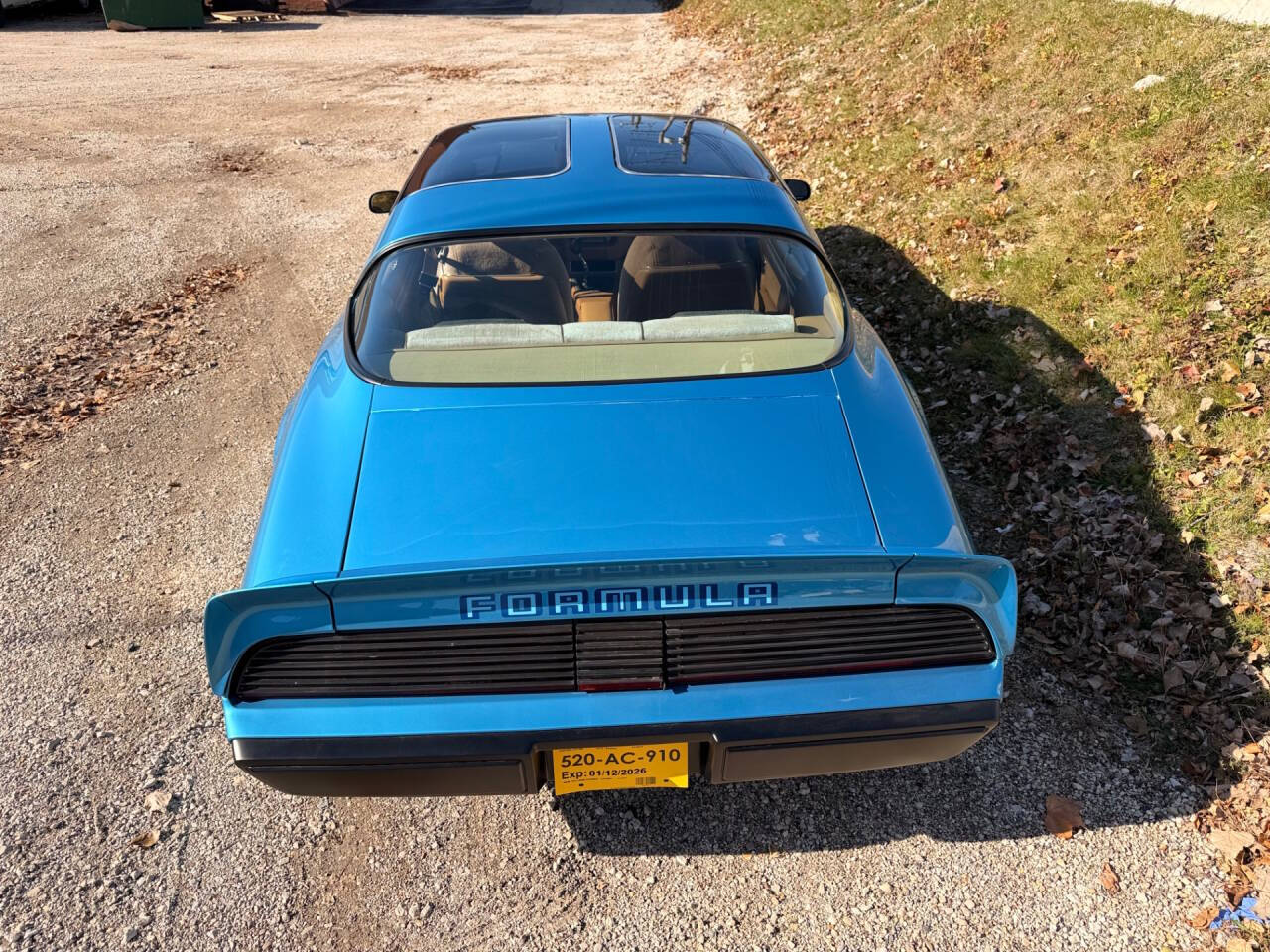 1979 Pontiac Firebird 16