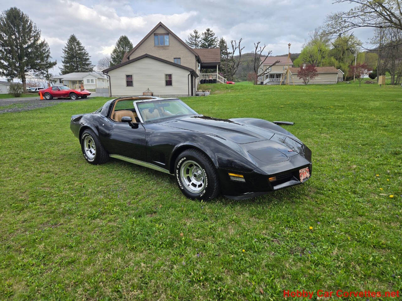 1981 Chevrolet Corvette 11