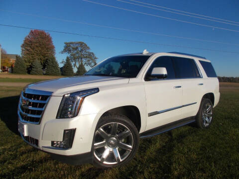 2017 Cadillac Escalade for sale at Wholesale Auto Purchasing in Frankenmuth MI