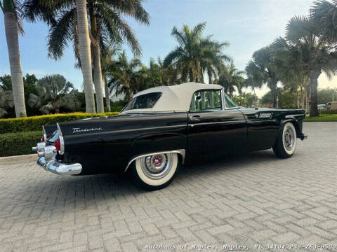 1955 Ford Thunderbird