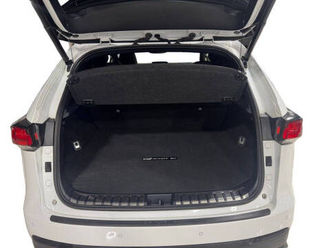 2019 Lexus NX 300 F SPORT