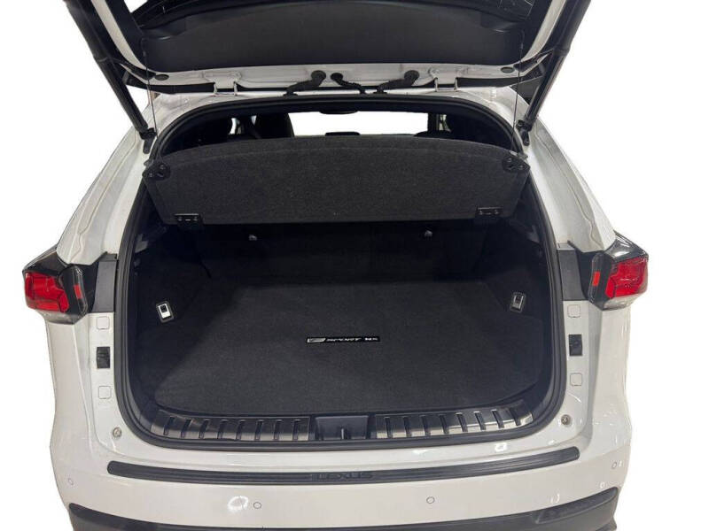 2019 Lexus NX 300 F SPORT