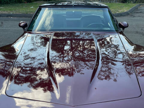 1981 Chevrolet Corvette
